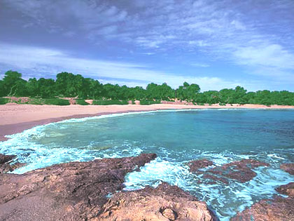 Cala Bassa - Ibiza Playas