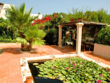 Idyllic área de esta cubierto al lado de cocha