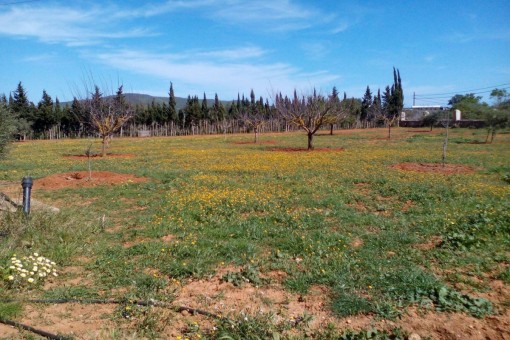 El paisaje fantástico