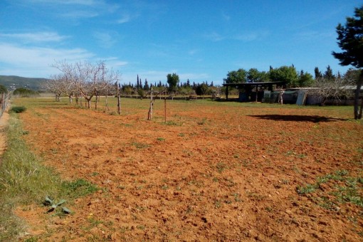 Vista al terreno