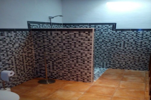 Baño con ducha