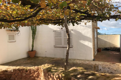 Terraza soleada del restaurante