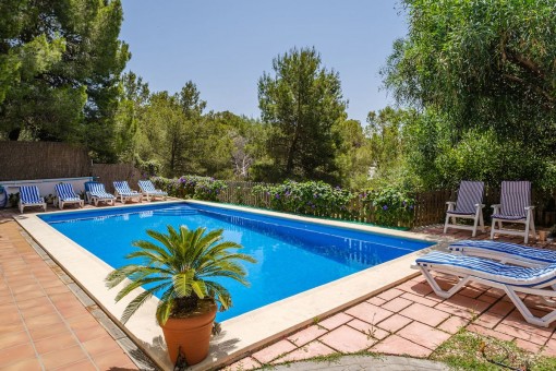 Zona de la piscina soleada