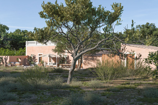 Vista exterior